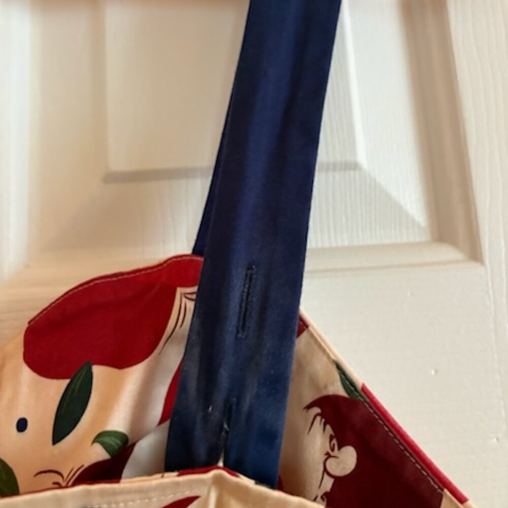 Disney Parks Snow White Poison Apple Dress Seven Dwarfs Size Large RARE - Picture 8 of 13